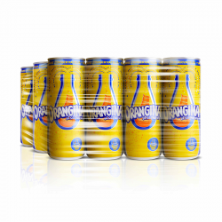 Orangina pack canettes 12x25cl