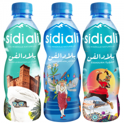 Sidi ali Bled El Fen 6x33cl