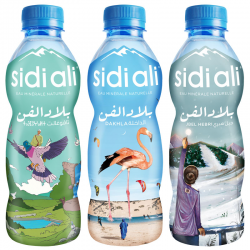 Sidi ali Bled El Fen 6x33cl